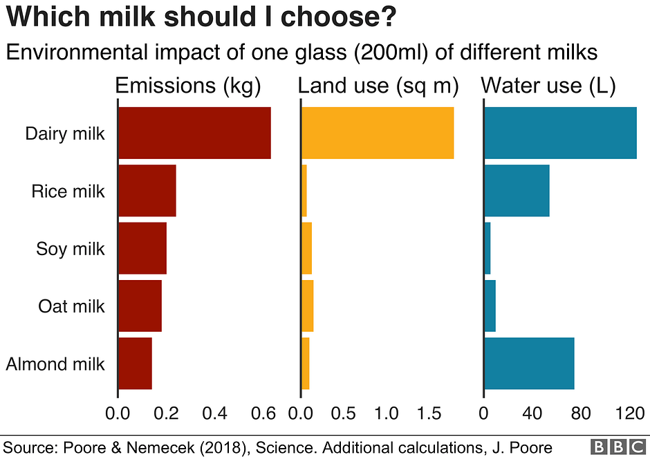 which milk should I drink bbc infographic